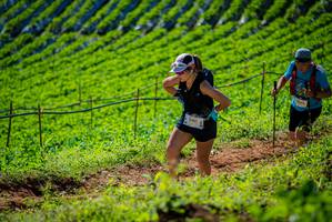 BIB: 3401
                            <button type="button" onclick="openModal(19162060)" class="btn btn-primary btn-sm float-right btn-popup" data-toggle="modal" data-target=".modal-high-quality">
                        <i class="fas fa-shopping-cart"></i> Add to Cart
                    </button>
                                            <button type="button" onclick="isThisMe(19162060, true)" class="btn btn-success btn-sm float-right btn-popup btn-isme hidden" data-toggle="tooltip" data-placement="bottom" title="นี่คือรูปของคุณใช่ไหม คลิกที่นี่เพื่อเอาเข้าอัลบั้ม">
                        <i class="fas fa-plus"></i> Add to album
                    </button>
                    <button type="button" onclick="isThisMe(19162060, false)" class="btn btn-warning btn-sm float-right btn-popup btn-isnotme hidden">
                        <i class="fas fa-ban"></i> Remove from album
                    </button>